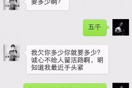 印台贷款清欠服务